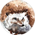 Zakiya Dar Avatar