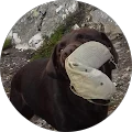 Ruth Selden Avatar