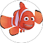Shoshan Barkan Avatar