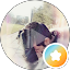 Yousuf Ahmad Avatar